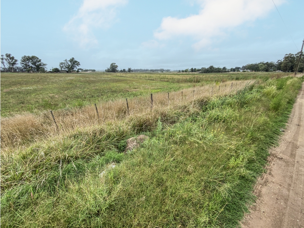 Lotes en venta de 4214 m2 — foto 3