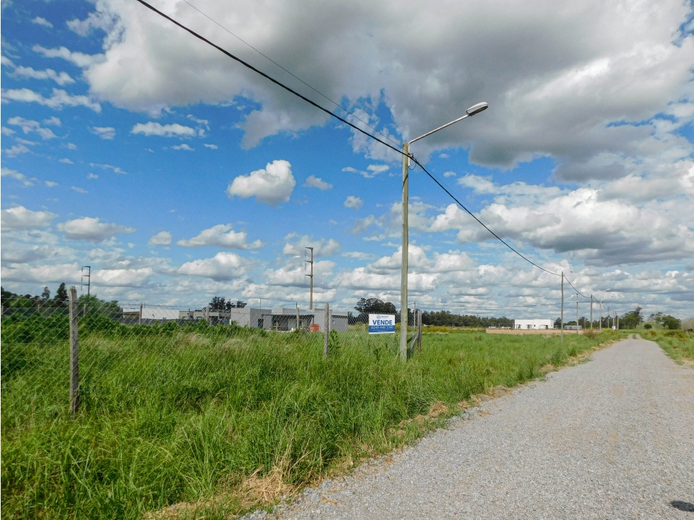 En VENTA Lote 1300m2. TANDIL - 6