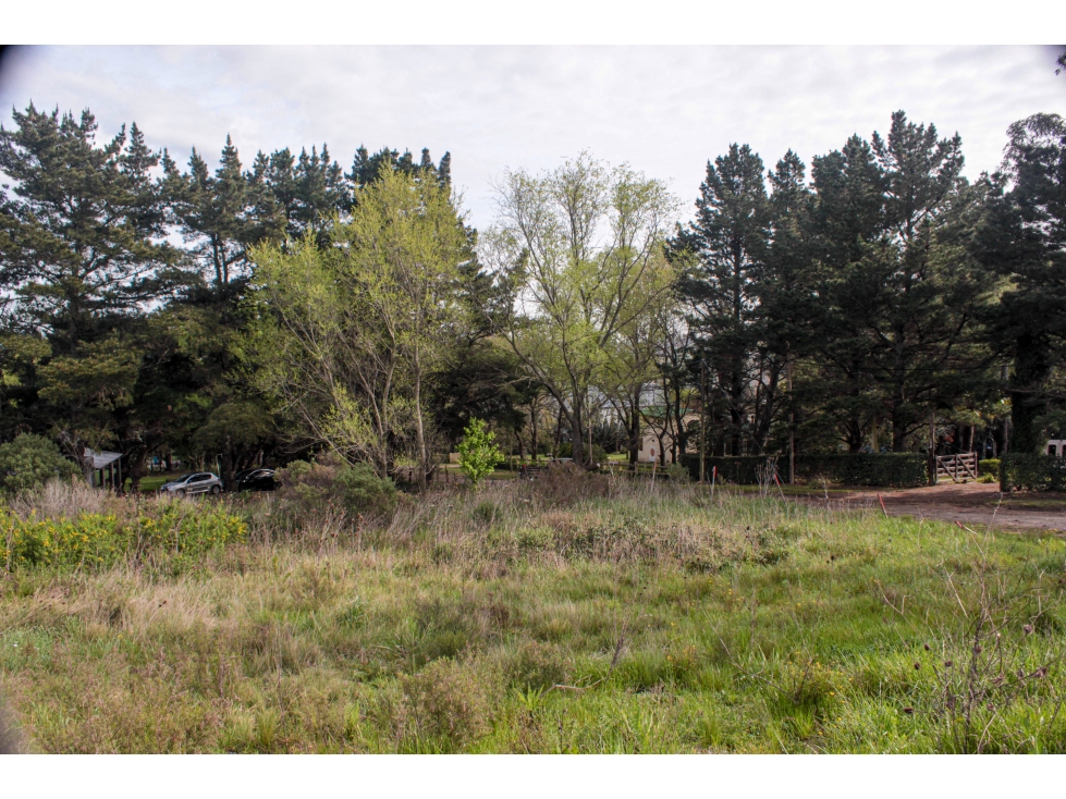 LOTE vistas Sierras de Tandil VENDE o PERMUTA, Zona QUINTA SAN GABRIEL — foto 4