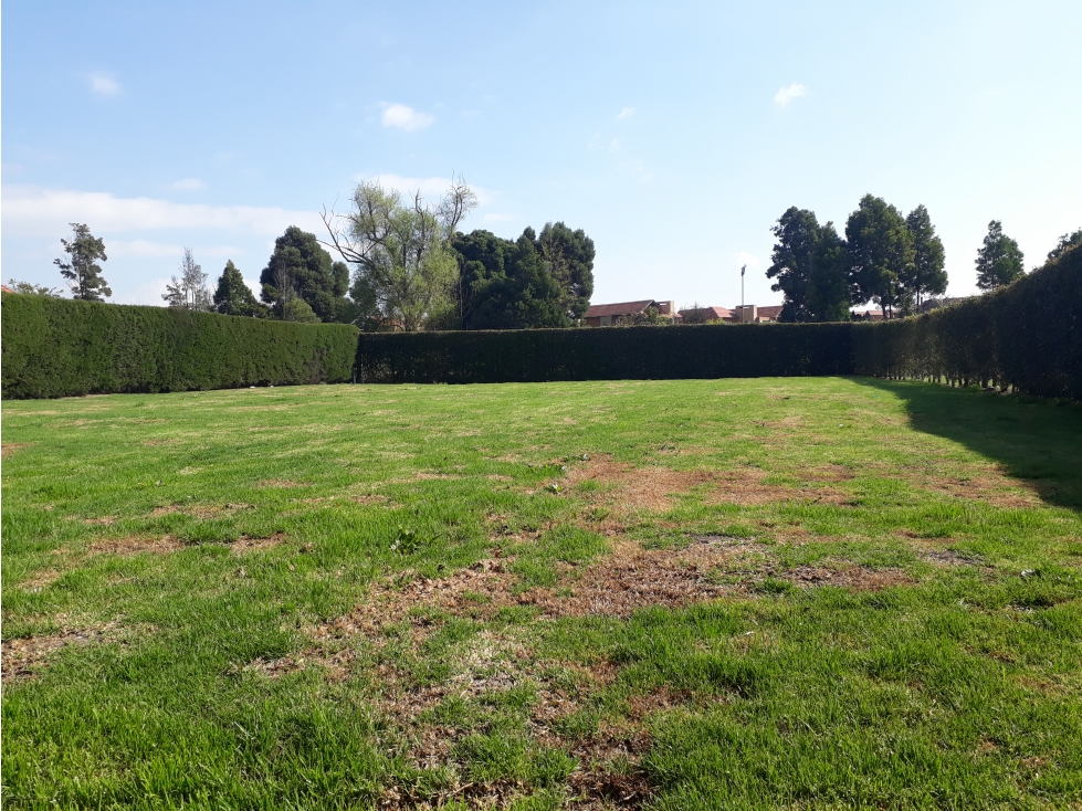 Venta Lote Santa Ana de Chia