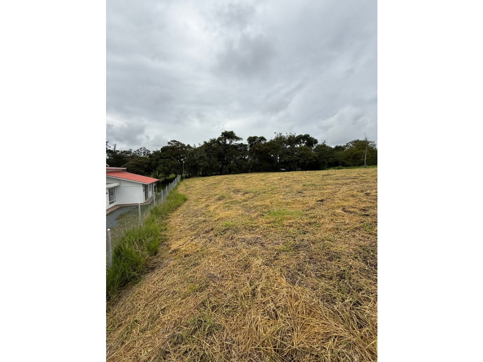 BROKER - LOTE ESQUINERO EN VENTA PARCELACION LA PAZ POPAYAN — foto 2