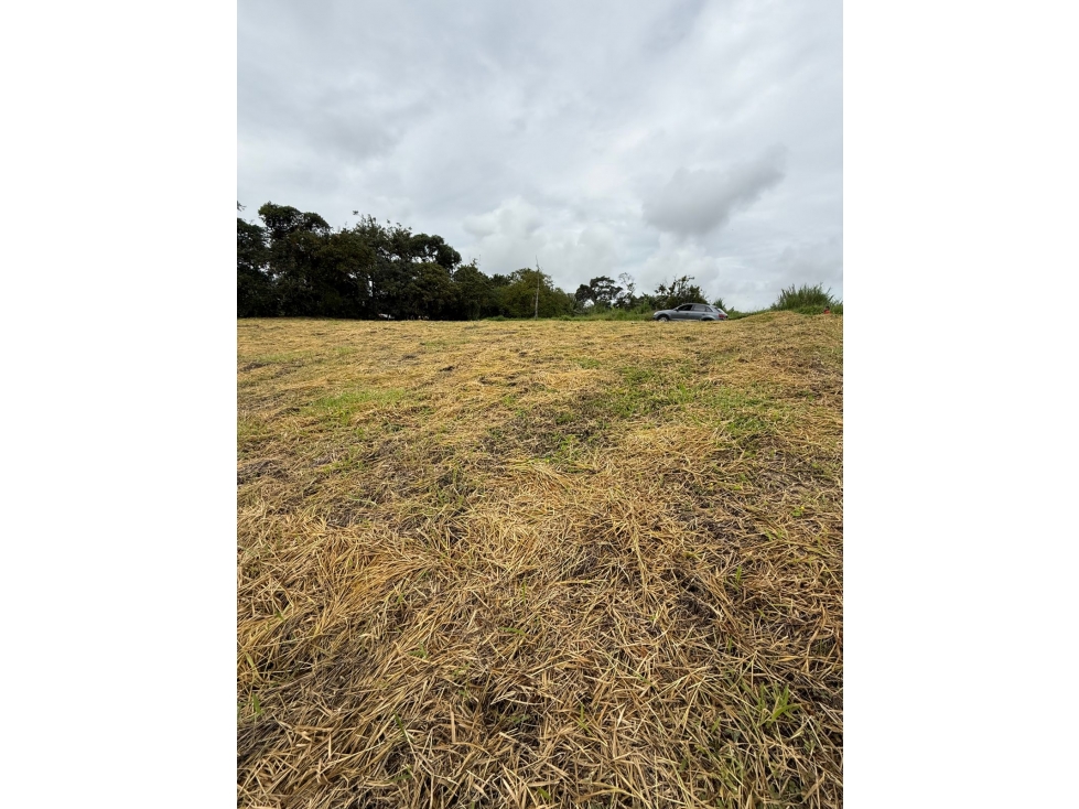 BROKER - LOTE ESQUINERO EN VENTA PARCELACION LA PAZ POPAYAN — foto 3