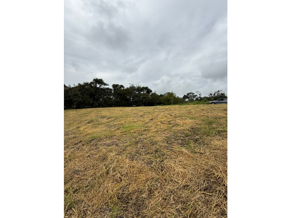 BROKER - LOTE ESQUINERO EN VENTA PARCELACION LA PAZ POPAYAN — foto 5