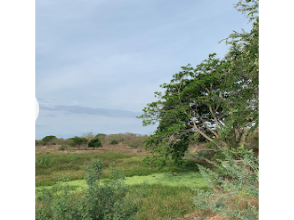 VENTA TERRENO CERCA VIA AL MAR ENTRE BARRANQUILLA Y CARTAGENA - 1