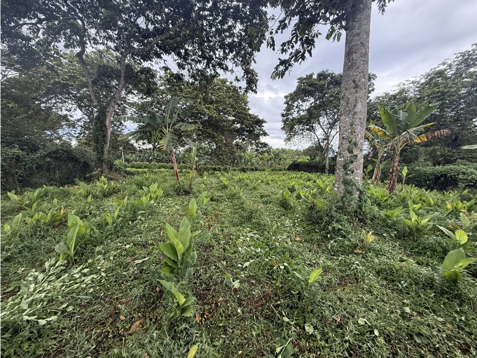 VENTA CASA-LOTE SECTOR LA CABAÑA, VDA EL RIN VIA AEROPUERTO