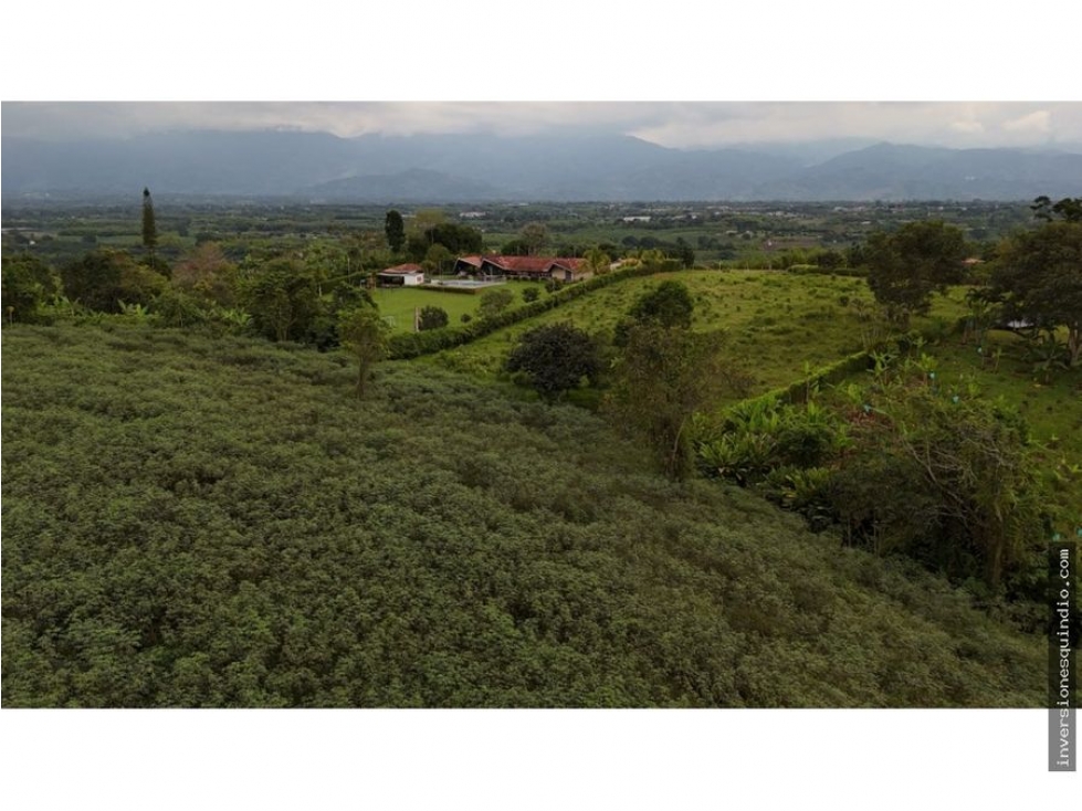 VENTA SEIS LOTES PARA VIVIENDA CAMPESTRE EN MONTENEGRO QUINDIO