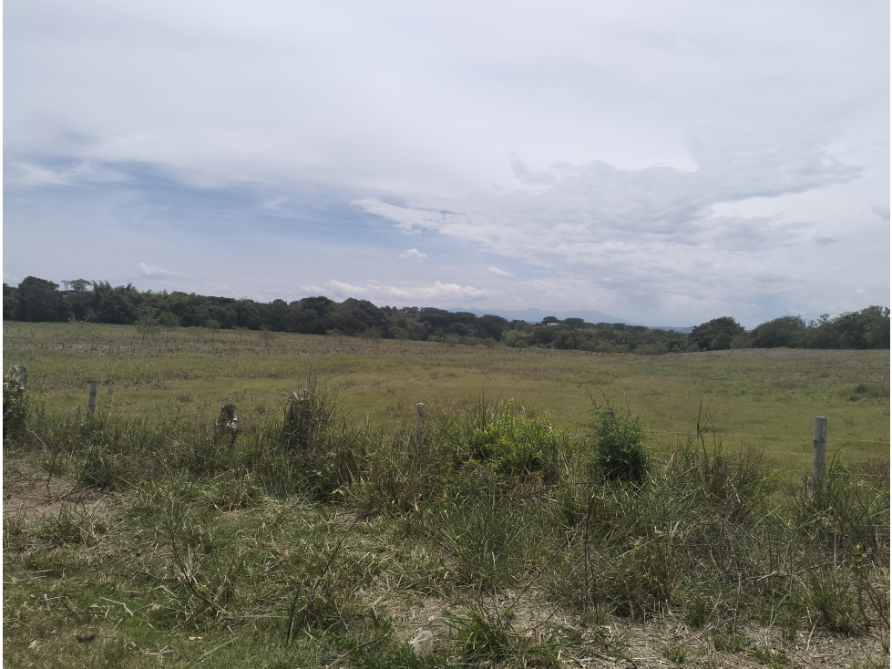VENTA LOTE USO AGROINDUSTRIAL AUTOPISTA MEDELLIN BUENAVENTURA - 1