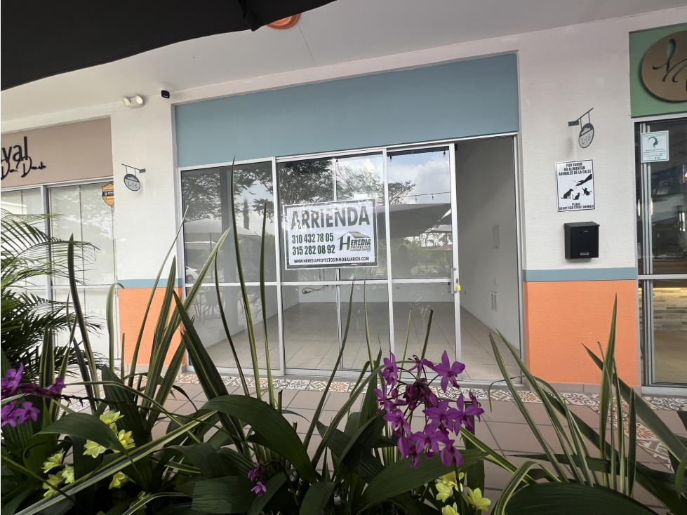ALQUILER LOCALES EN MALL COMERCIAL VIA EL CAIMO QUINDIO - 4