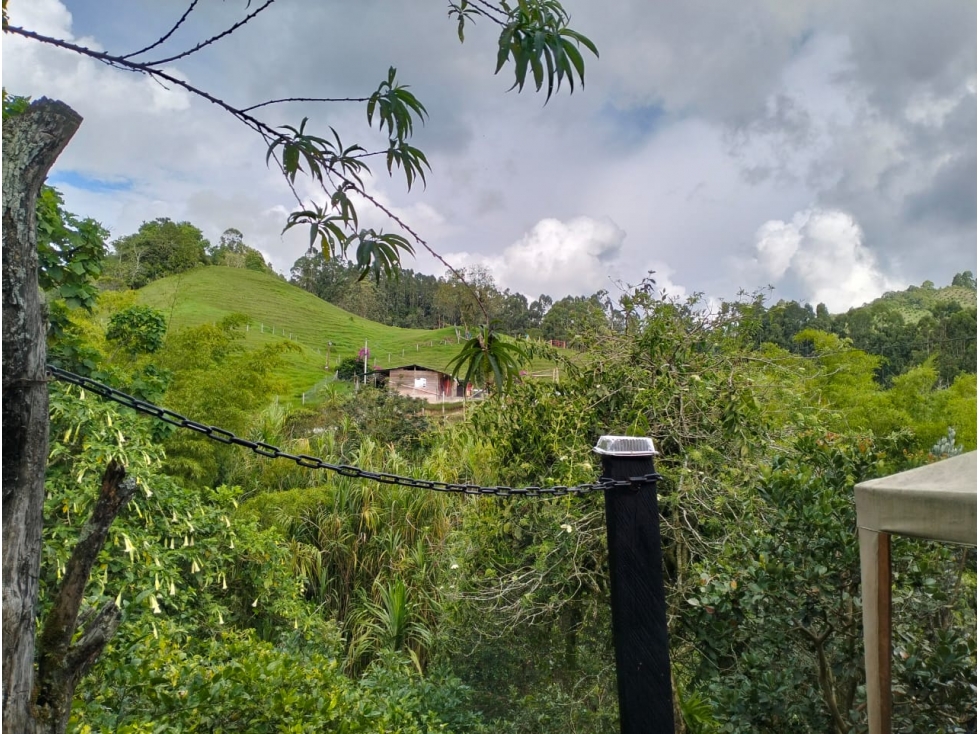 VENTA CASA EN SALENTO QUINDIO - 3