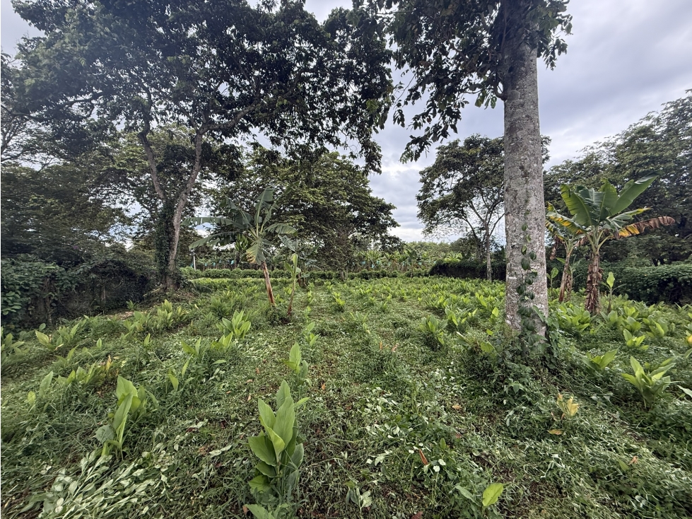 VENTA CASA-LOTE SECTOR LA CABAÑA, VDA EL RIN VIA AEROPUERTO — foto 2