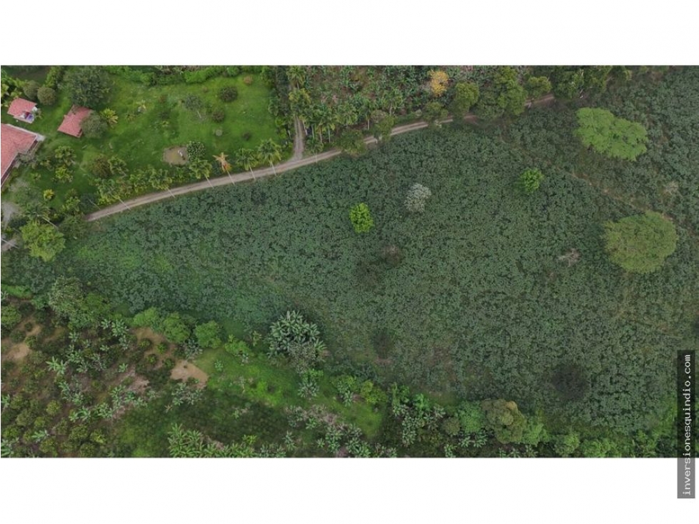 VENTA SEIS LOTES PARA VIVIENDA CAMPESTRE EN MONTENEGRO QUINDIO — foto 2