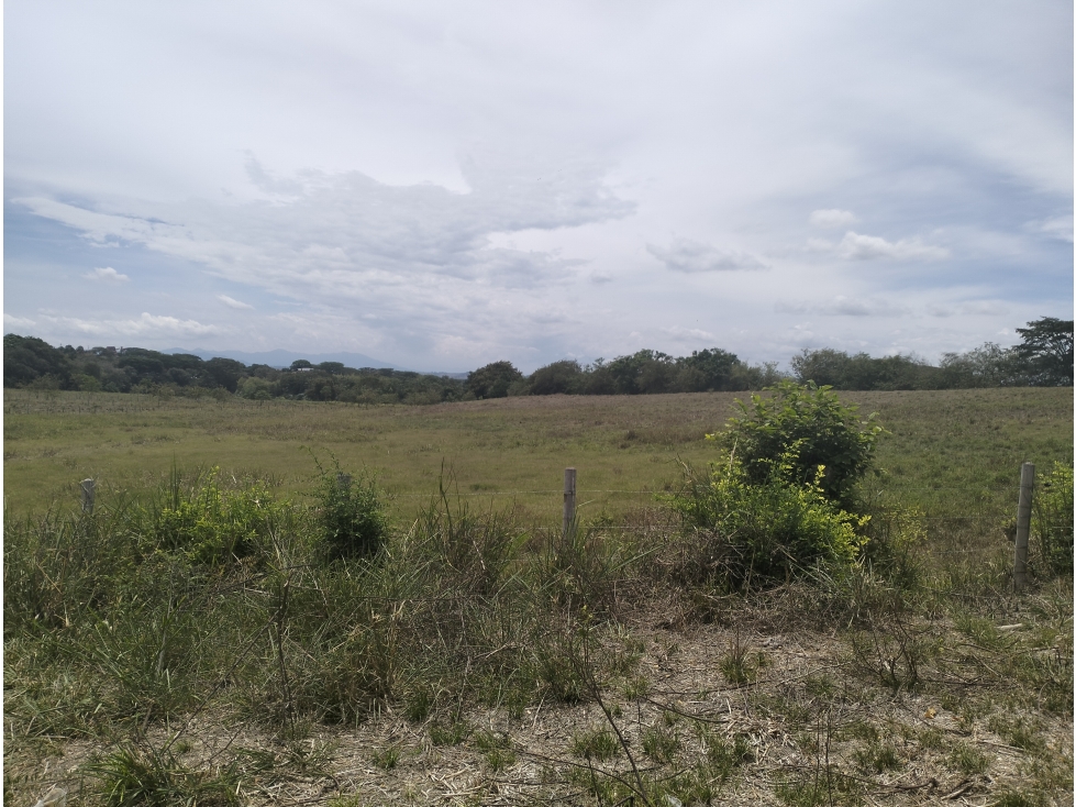 VENTA LOTE USO AGROINDUSTRIAL AUTOPISTA MEDELLIN BUENAVENTURA - 2