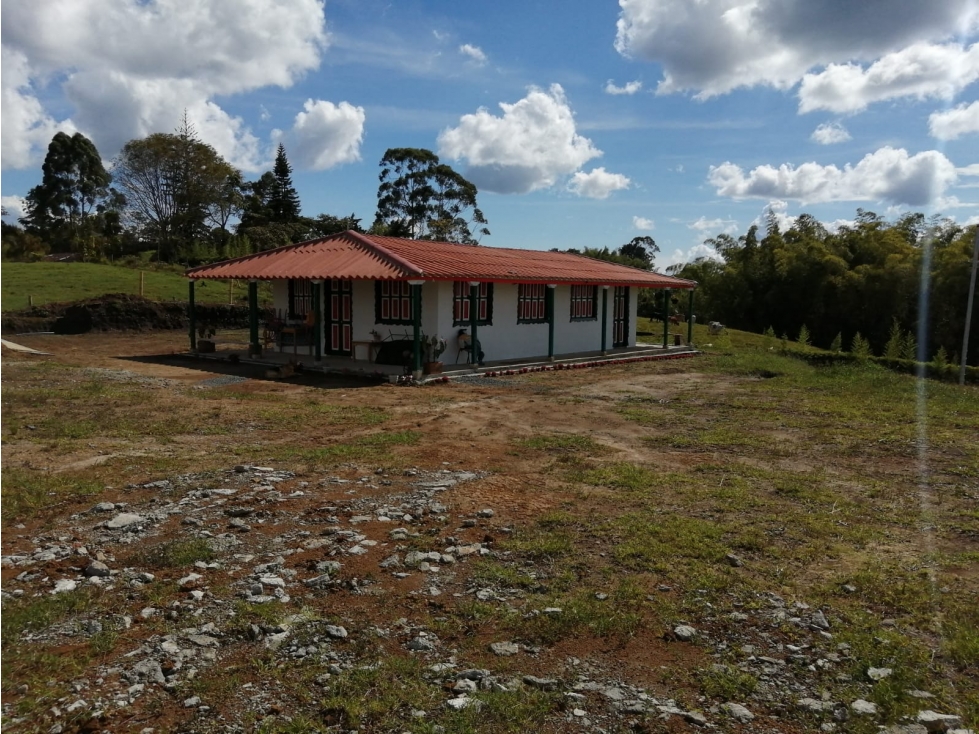 VENTA FINCA VEREDA LA JULIA FILANDIA QUINDÍO - 1