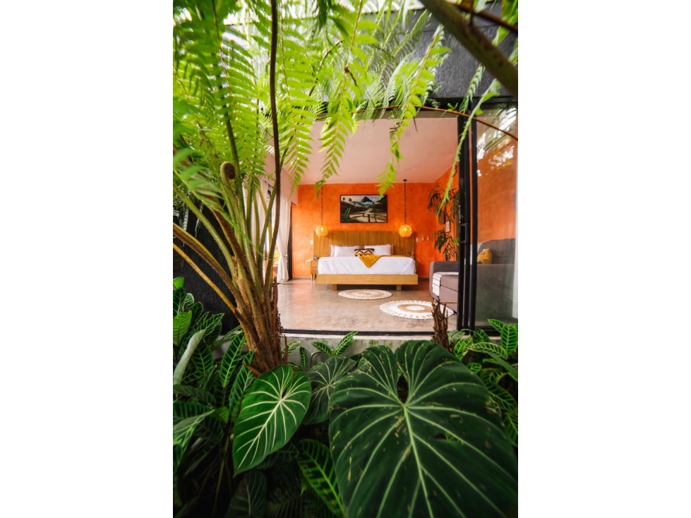 VENTA FINCA TURISTICA CON TRES UNIDADES RENTANDO EN AIRBNB - 6