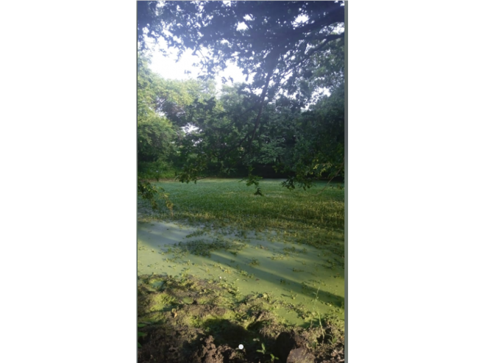 VENTA TERRENO CERCA VIA AL MAR ENTRE BARRANQUILLA Y CARTAGENA - 4