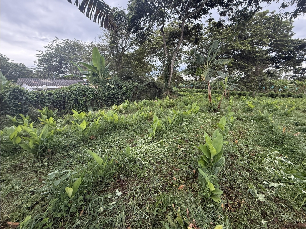 VENTA CASA-LOTE SECTOR LA CABAÑA, VDA EL RIN VIA AEROPUERTO — foto 3