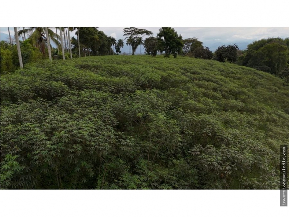 VENTA SEIS LOTES PARA VIVIENDA CAMPESTRE EN MONTENEGRO QUINDIO — foto 3