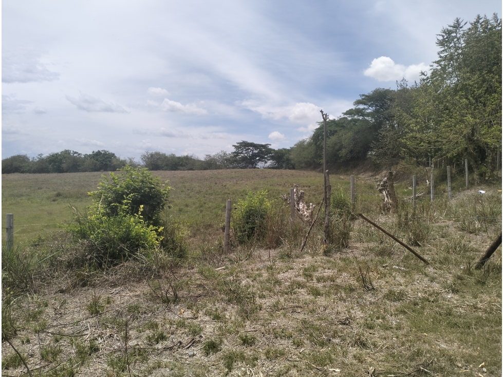 VENTA LOTE USO AGROINDUSTRIAL AUTOPISTA MEDELLIN BUENAVENTURA - 3