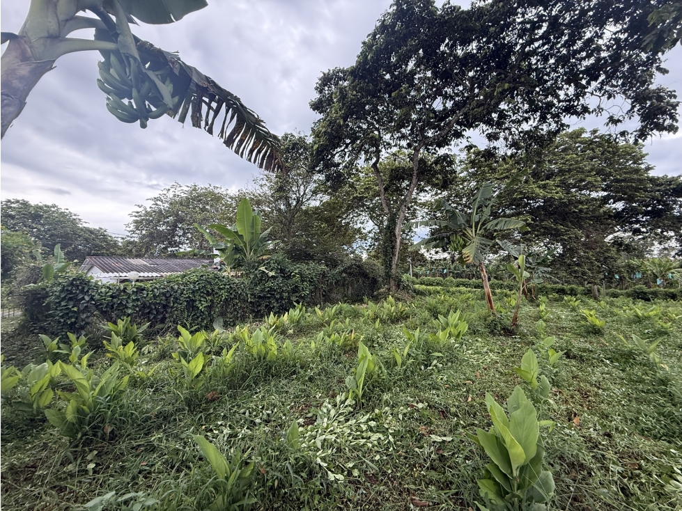 VENTA CASA-LOTE SECTOR LA CABAÑA, VDA EL RIN VIA AEROPUERTO — foto 4