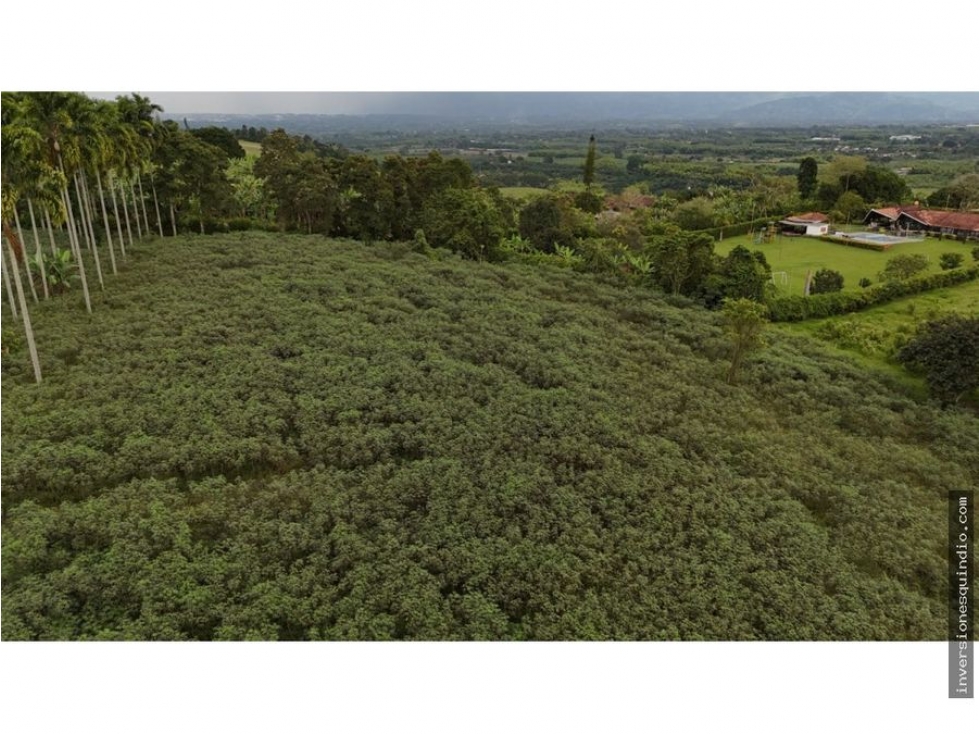 VENTA SEIS LOTES PARA VIVIENDA CAMPESTRE EN MONTENEGRO QUINDIO — foto 4