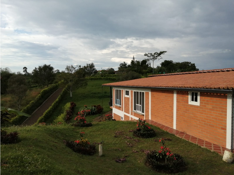 VENTA CASA CAMPESTRE VIA QUIMBAYA ALCALA (V.) - 4