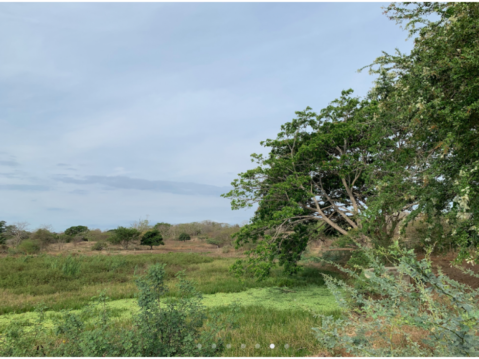 VENTA TERRENO CERCA VIA AL MAR ENTRE BARRANQUILLA Y CARTAGENA - 6