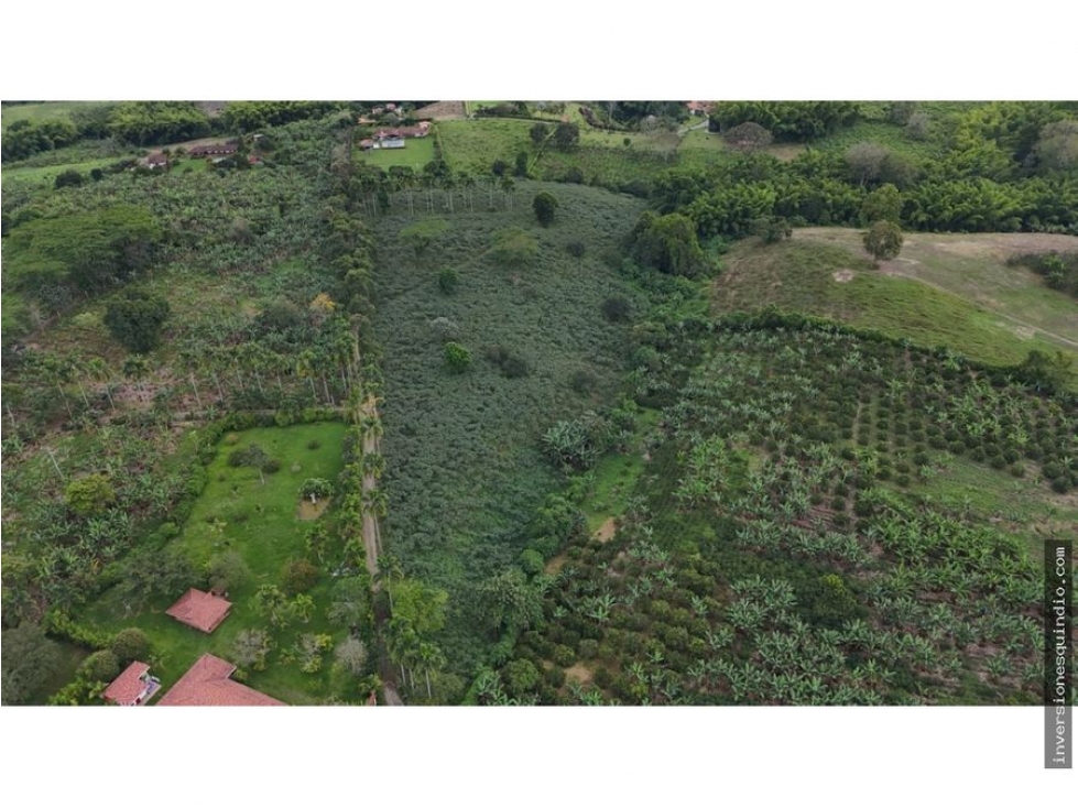 VENTA SEIS LOTES PARA VIVIENDA CAMPESTRE EN MONTENEGRO QUINDIO — foto 5