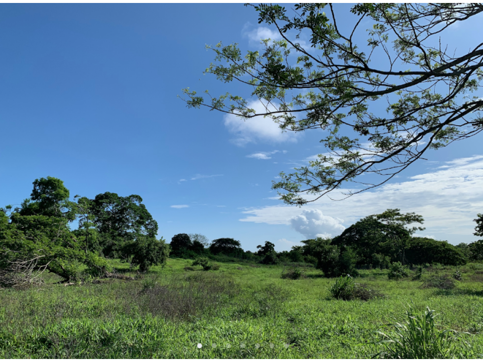 VENTA TERRENO CERCA VIA AL MAR ENTRE BARRANQUILLA Y CARTAGENA - 2