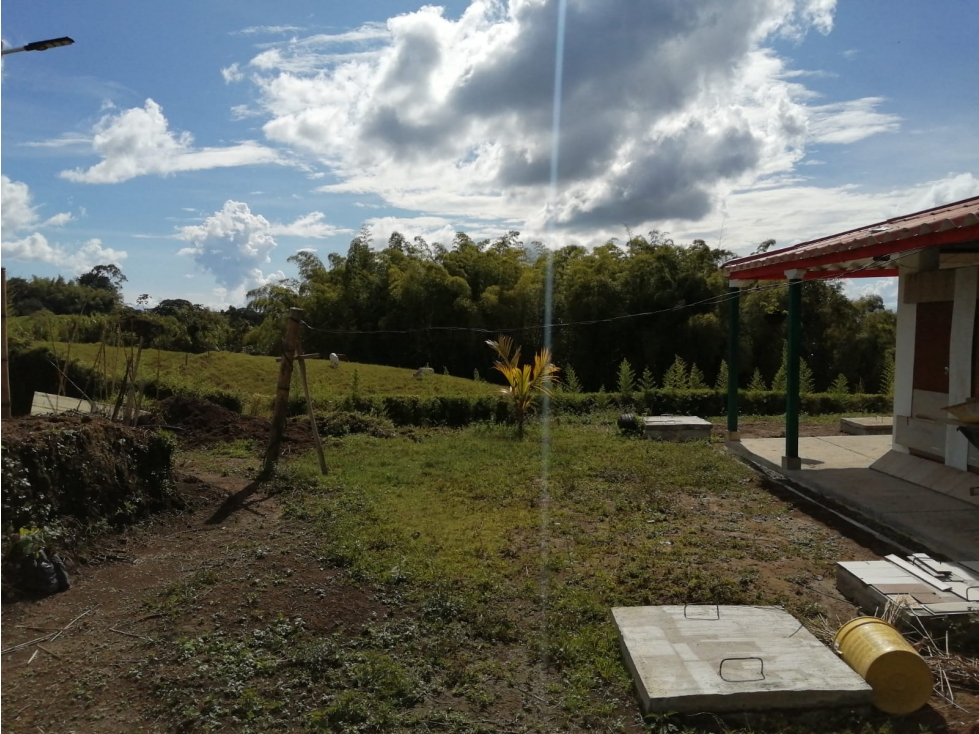VENTA FINCA VEREDA LA JULIA FILANDIA QUINDÍO - 6
