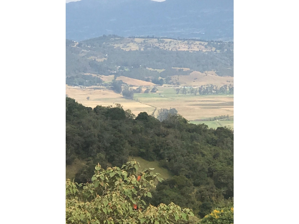 Yerbabonita lote campestre - 1856 M2