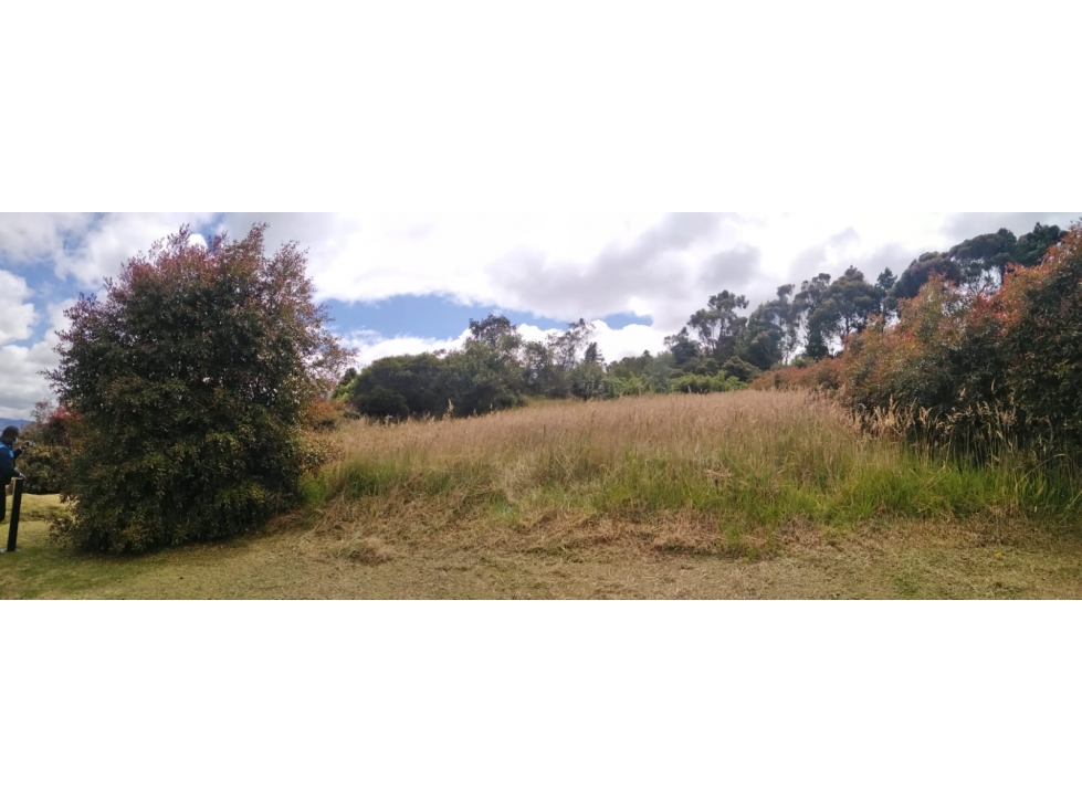 Lote Yerbabonita Bosque Nativo - 2200 M2- Estrato 4 — foto 2