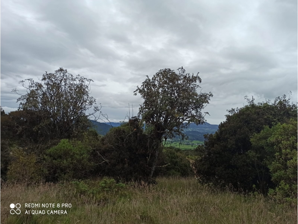 Lote en venta en Sopo Lote 109 - 1933 M2 — foto 2