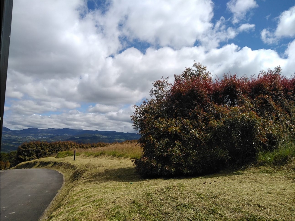 Lote Yerbabonita Bosque Nativo - 2200 M2- Estrato 4 — foto 3