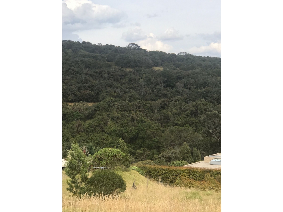 Yerbabonita lote campestre - 1856 M2 — foto 3