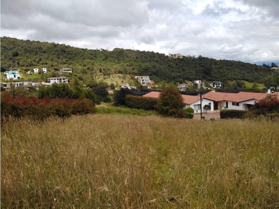 Lote Yerbabonita Bosque Nativo - 2200 M2- Estrato 4 — foto 5