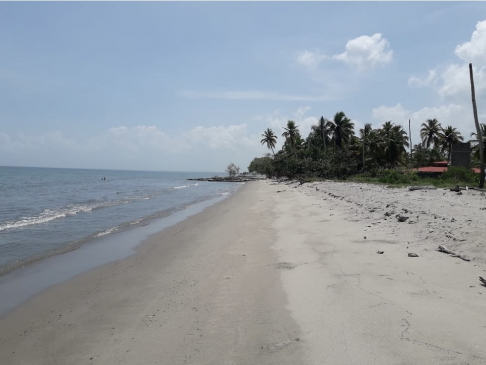 Lote para desarrollo en Venta Playas El Francés Tolú - Sucre - 3