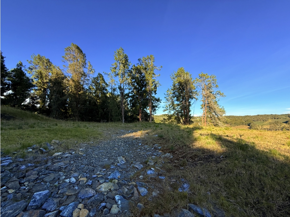 Lote en parcelación en venta Alto de Las Palmas — foto 3