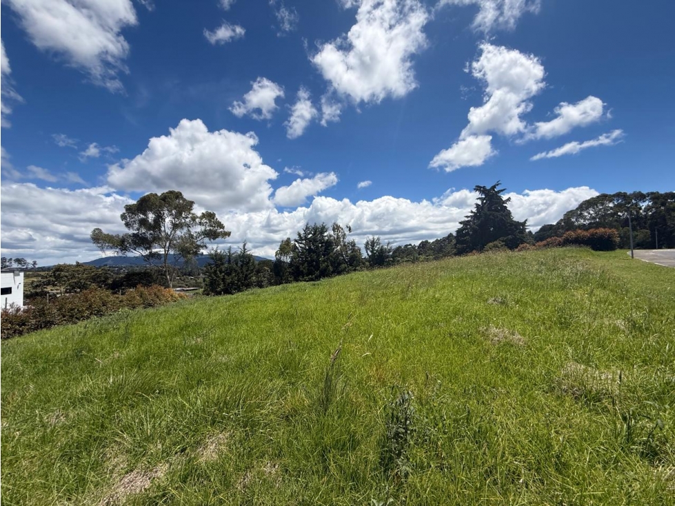 Lote en venta parcelación Alto de Las Palmas La Acuarela. Oportunidad! — foto 3