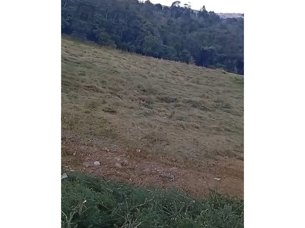 Lote en venta en Nuevo Alto de Las Palmas, Envigado — foto 6