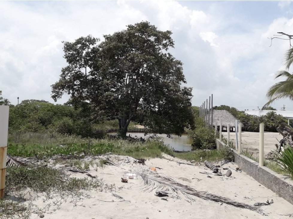 Lote para desarrollo en Venta Playas El Francés Tolú - Sucre - 5