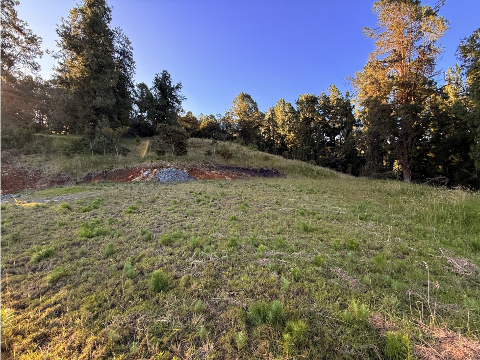 Lote en parcelación en venta Alto de Las Palmas — foto 6