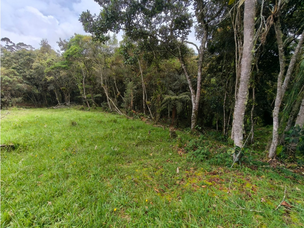 Venta Lote en Medellín, sector Alto de Las Palmas — foto 2