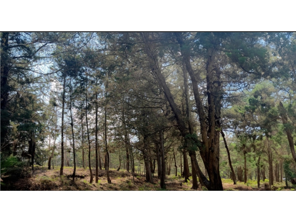 Lote en cesion de derechos en Venta Alto de las Palmas, Plano. — foto 3