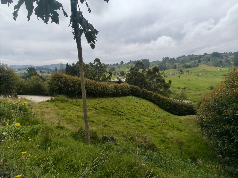LOTE CAMPESTRE en Venta, San Pedro de los Milagros 1.900 m² aprox. — foto 3