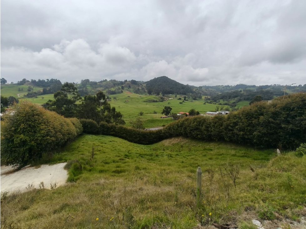 LOTE CAMPESTRE en Venta, San Pedro de los Milagros 1.900 m² aprox. — foto 4