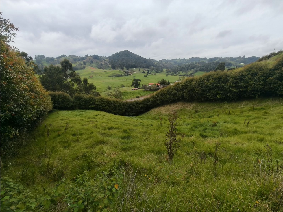 LOTE CAMPESTRE en Venta, San Pedro de los Milagros 1.900 m² aprox. — foto 5