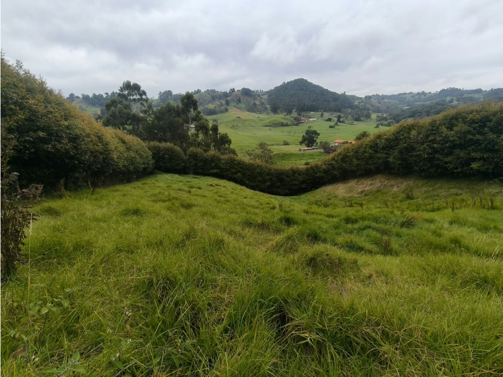 LOTE CAMPESTRE en Venta, San Pedro de los Milagros 1.900 m² aprox. — foto 6