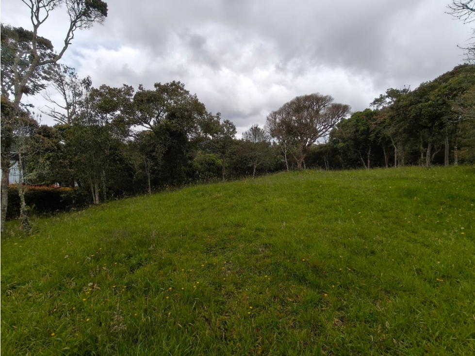 Venta Lote en Medellín, sector Alto de Las Palmas