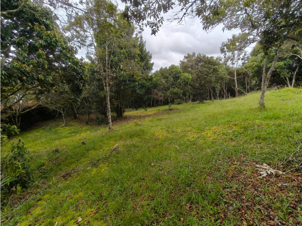 Venta Lote en Medellín, sector Alto de Las Palmas — foto 3