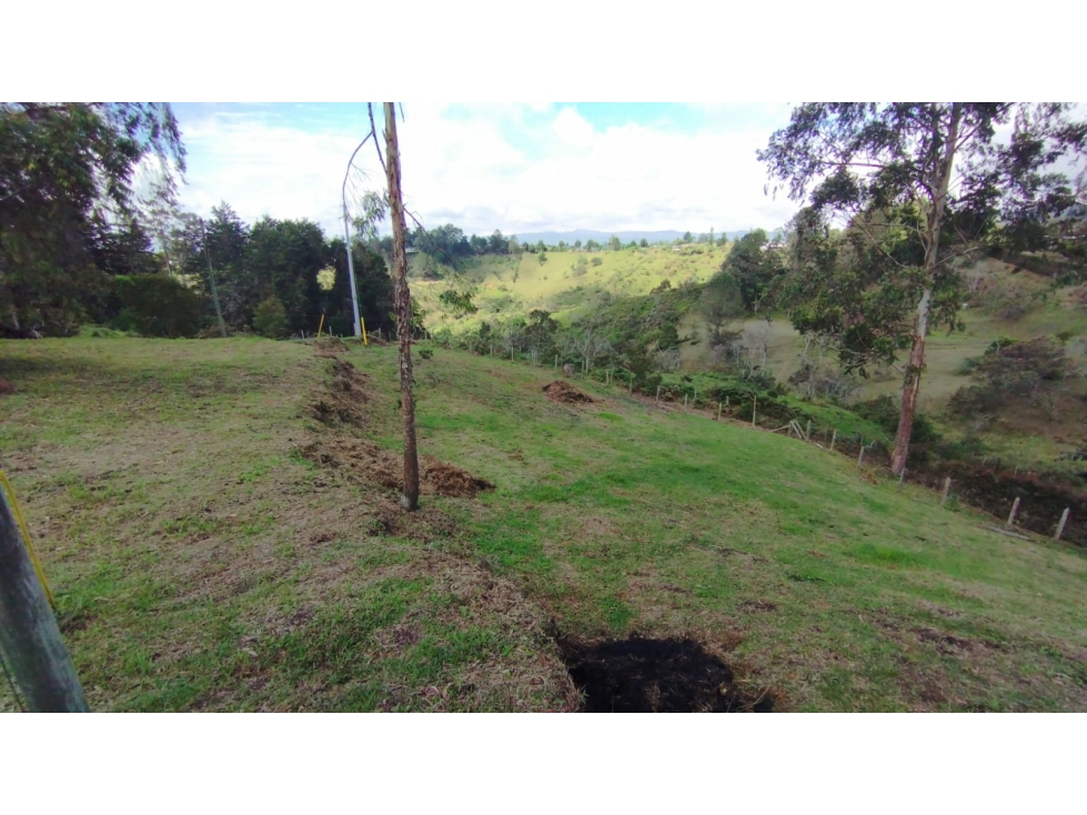 Venta de Lote en San Vicente por pelo pelo — foto 4